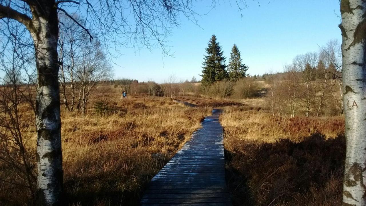 Hallerblick Monschau Exteriör bild