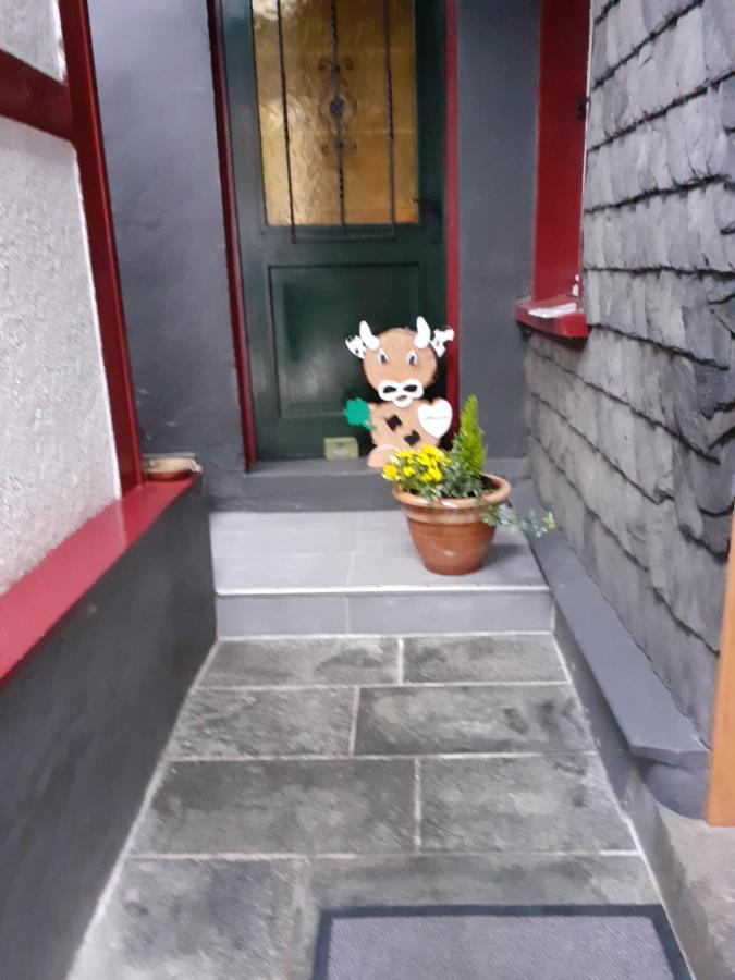 Hallerblick Monschau Exteriör bild